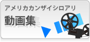 動画集
